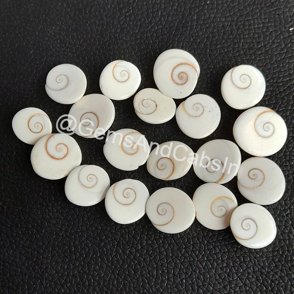 Shiva Eye Shell Gemstone, Wholesale Shiva Eye Cabochon Lot, Natural Shiva Eye Shell Crystal, Shiva Eye Shell Stone For Jewelry Making Stone