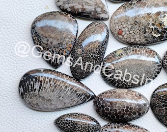 Lote de cabujones de coral fósil negro, de formas y tamaños variados.