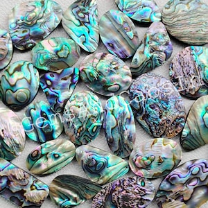 Cabochão de concha de abalone, lote de pedras preciosas de concha de abalone no atacado, pedra de concha de abalone natural para anel, pingente, colar, pedra para fazer joias
