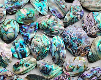 Op de afbeelding: Een verzameling iriserende abalone schelpen in verschillende vormen en maten. De schelpen tonen een scala aan kleuren, waaronder blauw, groen, paars en hints van roze, met wervelende patronen en texturen. Deze gepolijste schelpen zijn ideaal voor het maken van sieraden of knutselen.