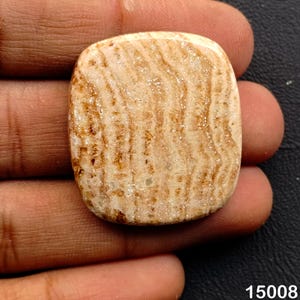 Puede incluir: Una piedra preciosa rectangular pulida con esquinas redondeadas. La piedra presenta un color base beige con intrincados patrones marrones en forma de onda. La textura parece suave y la forma general es sim&eacute;trica. La piedra preciosa se sostiene en una mano.