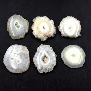 May include: Six solar quartz slices with a natural, organic appearance. The slices have a circular shape with a central crystalline core, surrounded by concentric rings of white, gray, and translucent hues. Each slice has unique patterns and colors.