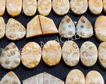 Wholesale Fossil Coral Gemstone Pair, Natural Polished Cabochons Pairs