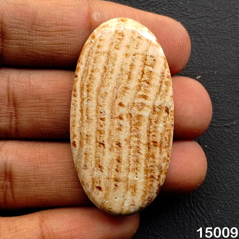 Puede incluir: Una piedra preciosa ovalada con un patr&oacute;n de rayas marr&oacute;n claro y marr&oacute;n. La piedra se sostiene en una mano y la textura de la piedra es visible. El n&uacute;mero "15009" est&aacute; en la esquina inferior derecha.