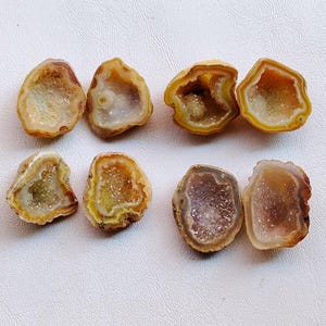 Könnte beinhalten: Acht offene Geoden mit Kristallformationen. Die Geoden weisen eine Vielzahl von Farben auf, darunter Brauntöne, Gelb und Weiß. Die Kristalle funkeln in den hohlen Zentren und erzeugen eine natürliche, dekorative Darstellung.