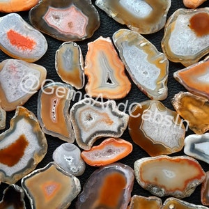 May include: A collection of agate slices in various shades of orange, brown, and white. The agate slices are irregularly shaped and have a natural, polished finish.