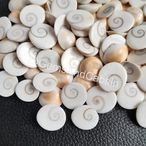Può includere: Un mucchio di cabochon ovali di conchiglia di colore bianco e crema con un motivo a spirale. I cabochon sono lisci e lucidi.
