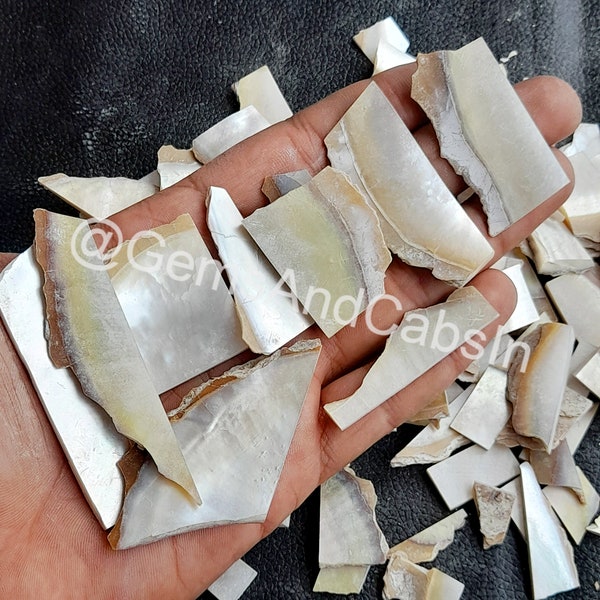 Mother of Pearl Rough, Wholesale Pearl Raw, Natural Mother of Pearl Rough Gemstone, Pearl Slice, Mother of Pearl Slice Rough Use For Jewelry