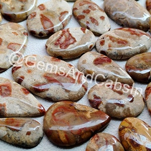 Polished Bird Eye Jasper Cabochon Lot, Jewelry Making Stone