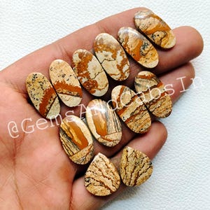 Paire de cabochons en jaspe naturel, pierres pour boucles d'oreilles assorties