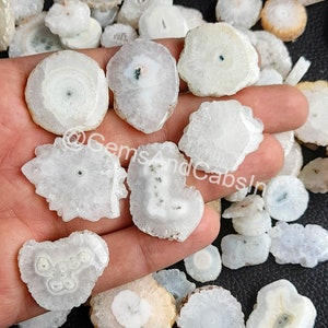 Puede incluir: Una colección de rodajas de cristal de cuarzo blanco de diferentes formas y tamaños. Las rodajas son translúcidas y muestran intrincados patrones de formaciones cristalinas.