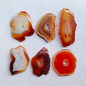 May include: Six polished agate slices in shades of orange, brown, and white. Each slice has a unique shape and pattern, with visible crystal formations in the center. The slices vary in size and are displayed on a white surface.