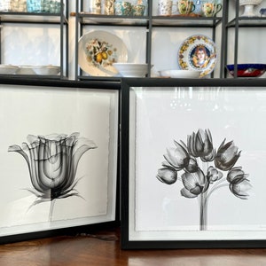 Picture black and white / 3-D effect flower / wall decoration / Marmont Hill / floral pattern / decoration / home decor / interior / gift