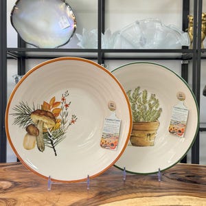 Könnte beinhalten: Zwei Keramikplatten mit botanischen Illustrationen. Eine Platte hat einen braunen Rand und zeigt ein Pilz- und Blattdesign. Die andere Platte hat einen grünen Rand und ein Topfpflanzendesign. Beide Platten haben einen cremefarbenen Hintergrund.