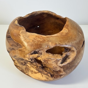 Może przedstawiać: Ręcznie wykonana drewniana miska o naturalnym, organicznym kształcie. Misa wykonana jest z jasnobrązowego drewna z ciemniejszymi brązowymi sękami i wzorami słojów. Posiada duży otwór i kilka naturalnych otworów, ukazujących unikalną fakturę drewna.