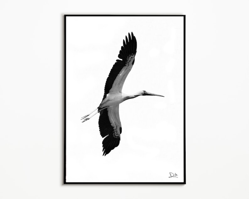 Black and White Bird Printable, Artwork Printable, Poster Printable ...