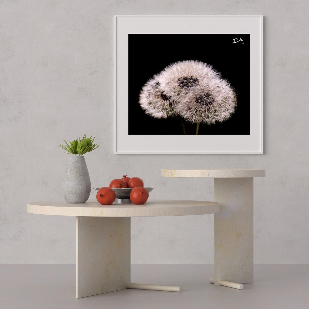 Flower Printable Flower Wall Art Wall Art Home Decor Etsy