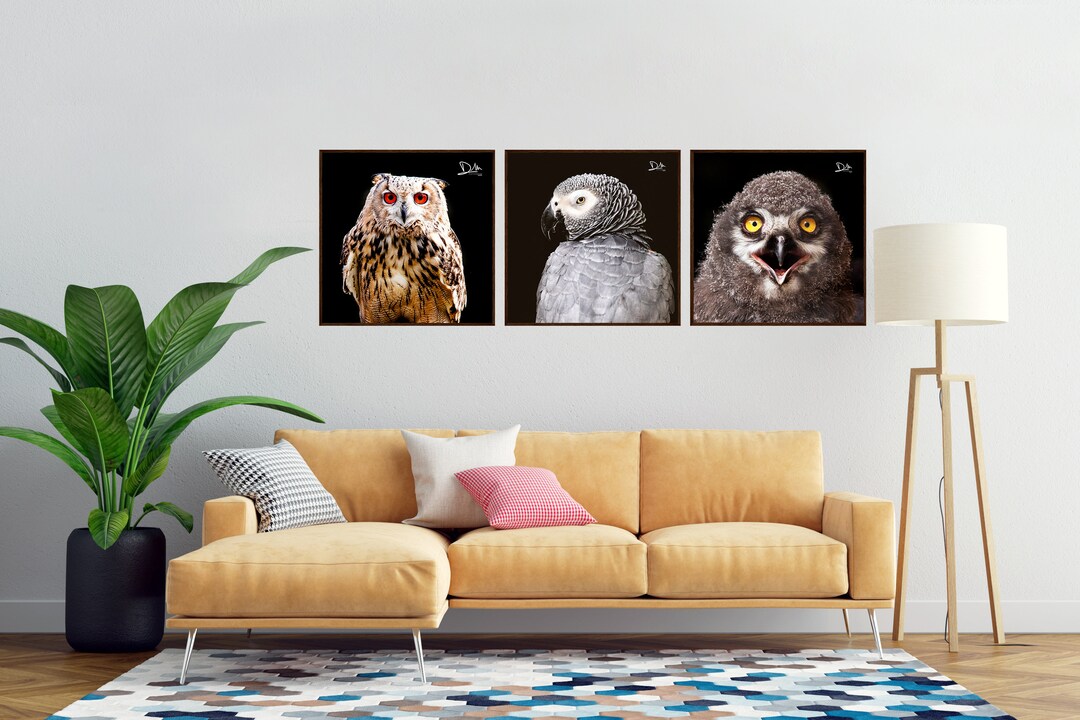 Bird Printable Set Animal Wall Art Set Wall Art Home Decor Etsy