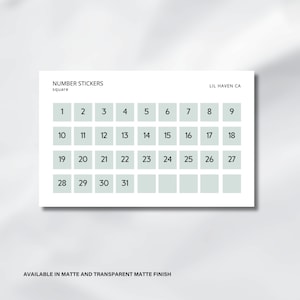 DATE SQUARE STICKERS - Number Stickers, Mini Date Stickers, Calendar Stickers, Date Stickers, Date Planner Stickers, Transparent Stickers