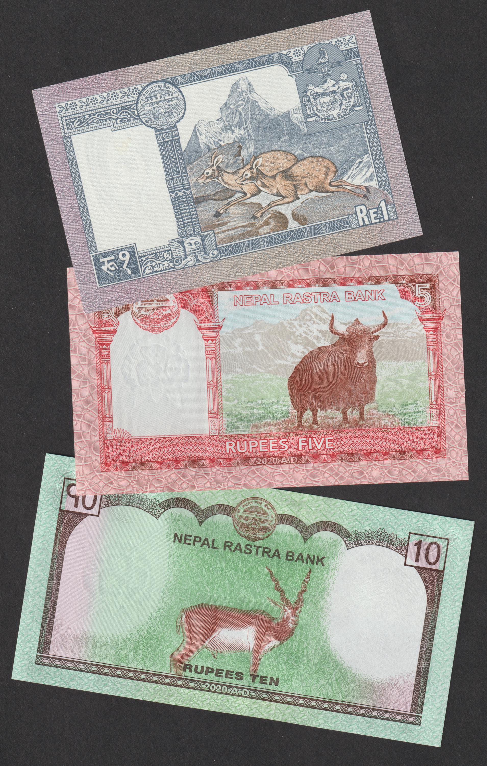 コレクション Nepalese rupee il_fullxfull.6966731755_6zy0.jpg