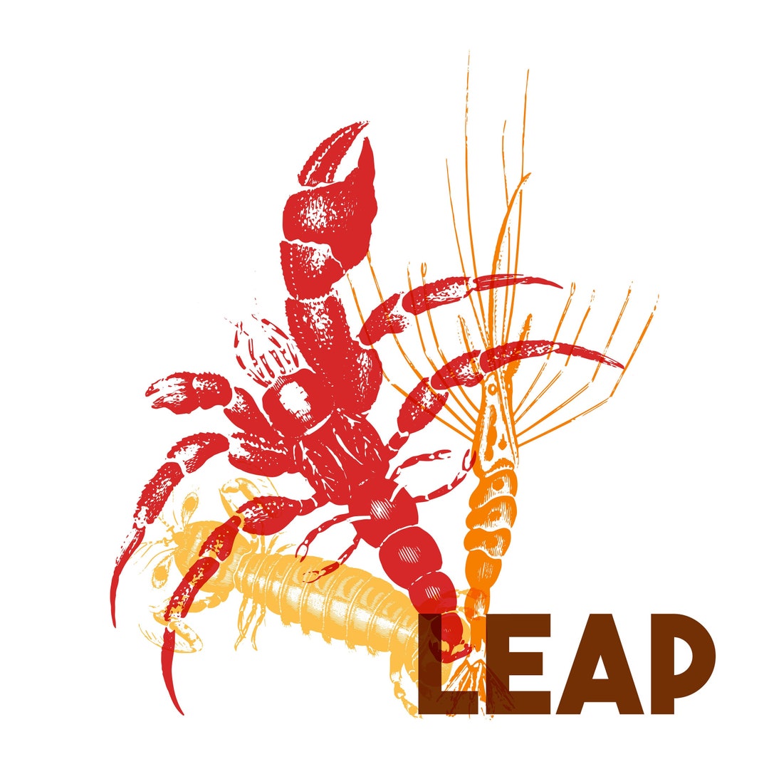 Leap Printable Artwork, Digital Download - Etsy