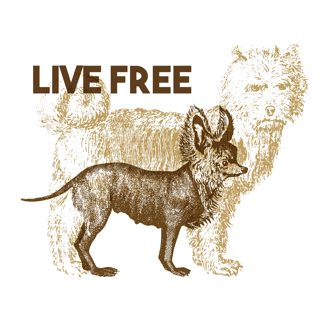 Live Free Printable Artwork, Digital Download - Etsy
