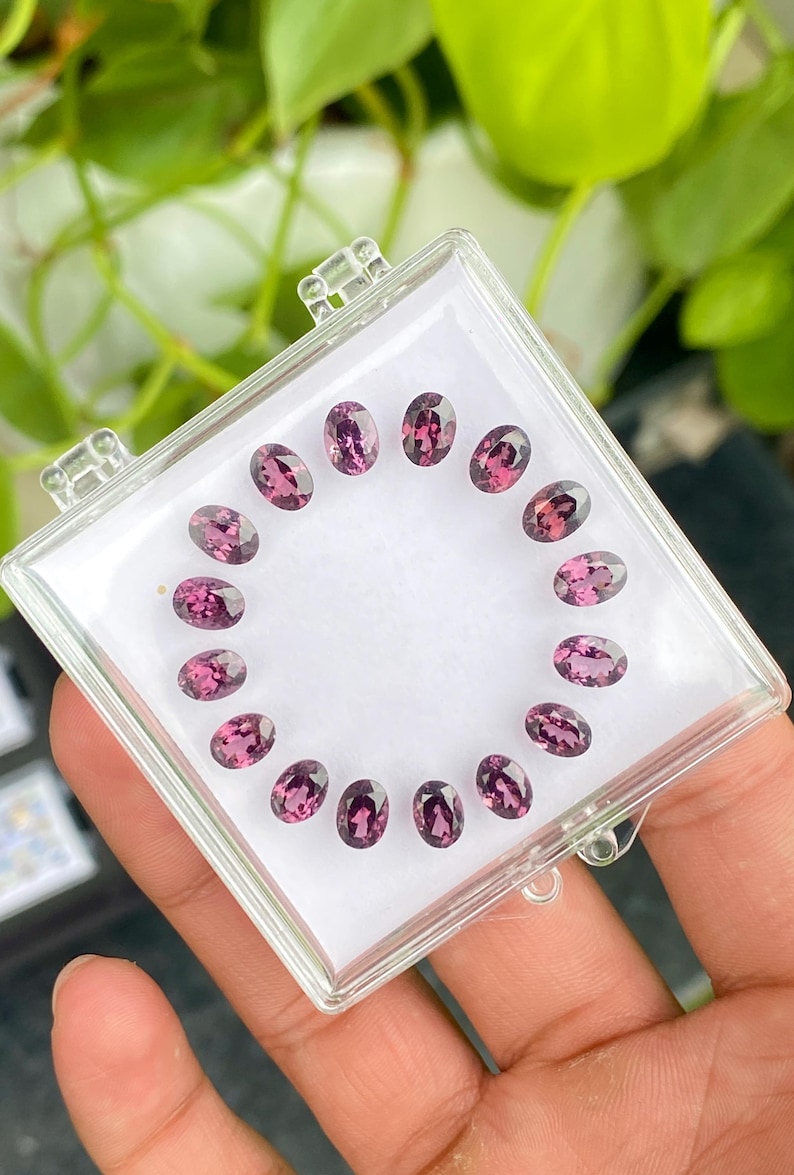 May include: A clear plastic case holds a collection of oval-shaped, purplish-pink gemstones. The gemstones are arranged in a circular pattern, showcasing their polished surfaces and varying shades of color. The background features green foliage.
