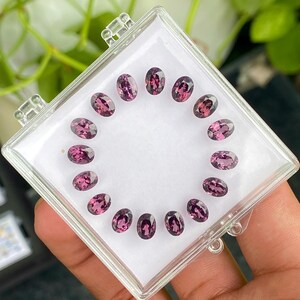 May include: A clear plastic case holds a collection of oval-cut, purplish-pink gemstones. The gems are arranged in a circular pattern on a white background. The case is held in a person's hand, with green foliage visible in the background.