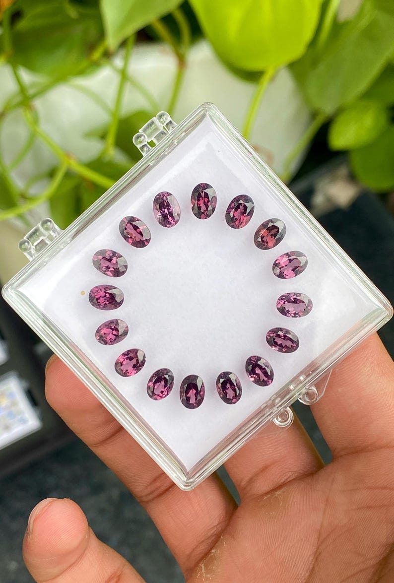 May include: A clear plastic case holds a collection of oval-cut, purplish-pink gemstones. The gems are arranged in a circular pattern on a white background. The case is held in a person's hand, with green foliage visible in the background.