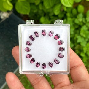 May include: A clear plastic case holding a collection of oval-shaped, deep pink gemstones. The gemstones are arranged in a circular pattern on a white background. The case is held in a person's hand, with a blurred green background.