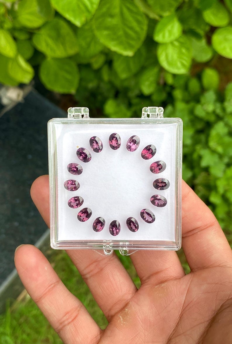 May include: A clear plastic case holding a collection of oval-shaped, deep pink gemstones. The gemstones are arranged in a circular pattern on a white background. The case is held in a person's hand, with a blurred green background.