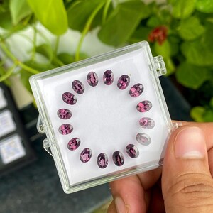 May include: A clear plastic case holds a collection of oval-cut, deep pink gemstones. The gems are arranged in a circular pattern against a white background. The case is held in a person's hand, with green foliage in the background.
