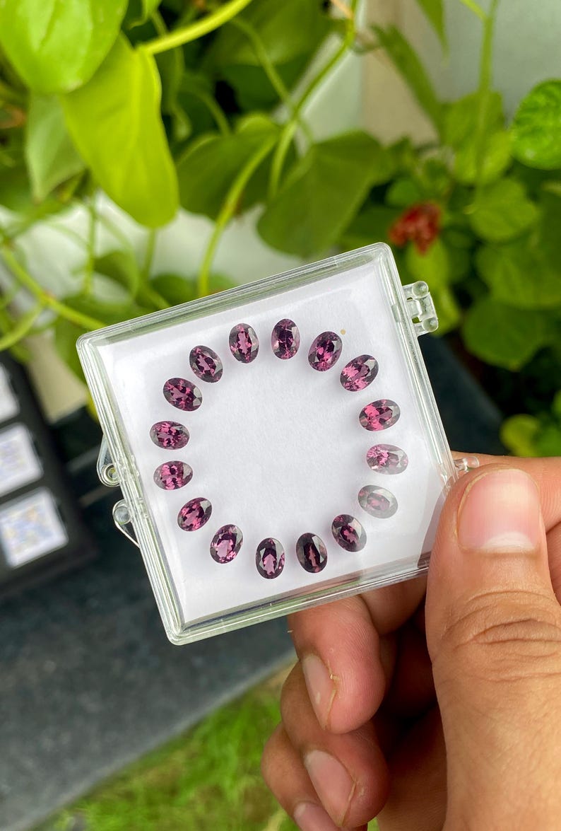 May include: A clear plastic case holds a collection of oval-cut, deep pink gemstones. The gems are arranged in a circular pattern against a white background. The case is held in a person's hand, with green foliage in the background.