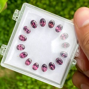 May include: A clear plastic case holds a collection of oval-cut, purplish-pink gemstones. The gems are arranged in a circular pattern, showcasing their polished surfaces and internal color variations. The background is blurred green foliage.