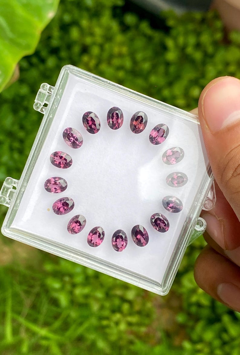 May include: A clear plastic case holds a collection of oval-cut, purplish-pink gemstones. The gems are arranged in a circular pattern, showcasing their polished surfaces and internal color variations. The background is blurred green foliage.