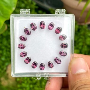 May include: A clear plastic case holds a collection of oval-cut, deep pink gemstones. The gems are arranged in a circular pattern against a white background. The case is held by a hand, with a blurred green background.