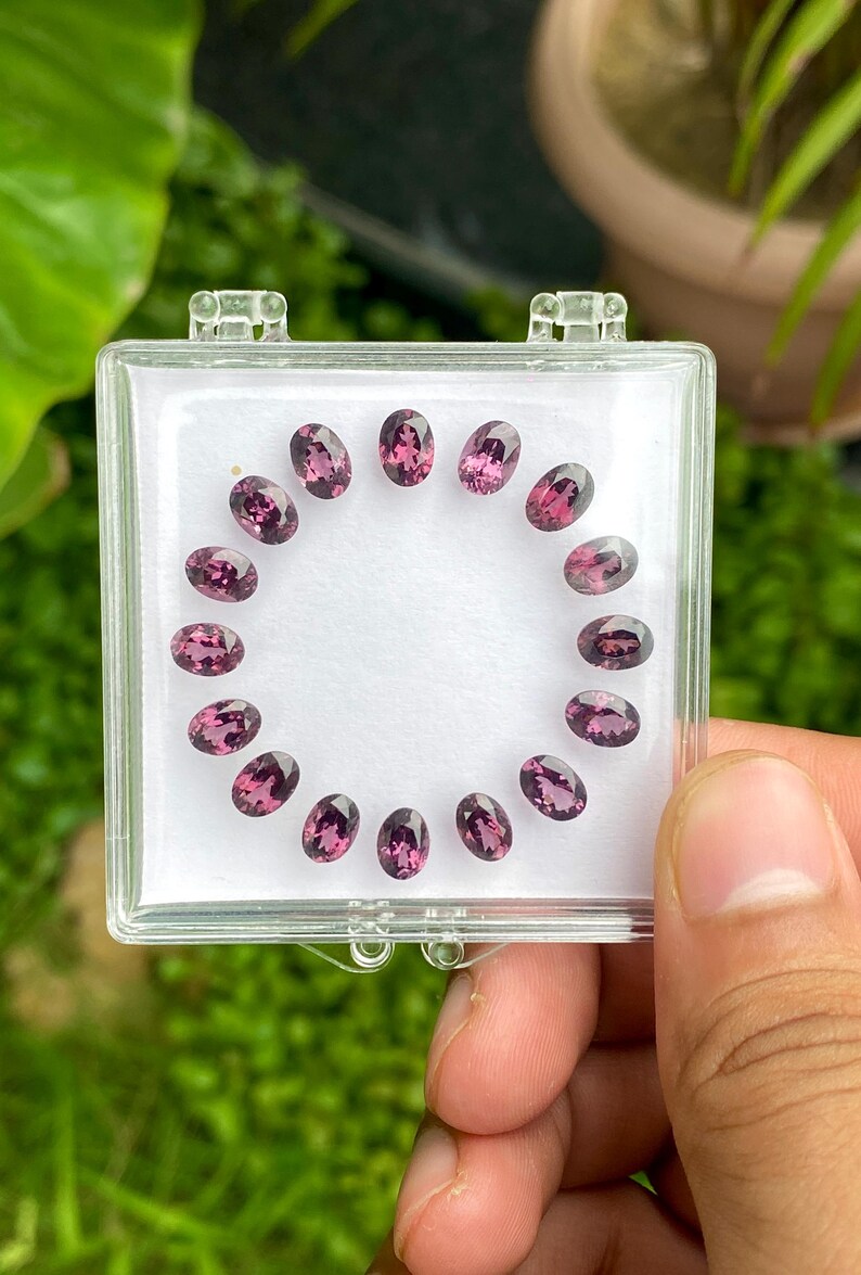 May include: A clear plastic case holds a collection of oval-cut, deep pink gemstones. The gems are arranged in a circular pattern against a white background. The case is held by a hand, with a blurred green background.