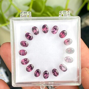 May include: A clear plastic case containing a collection of oval-cut, purplish-pink gemstones. The gemstones are arranged in a circular pattern on a white background. The case is held in a person's hand, with green foliage visible in the background.