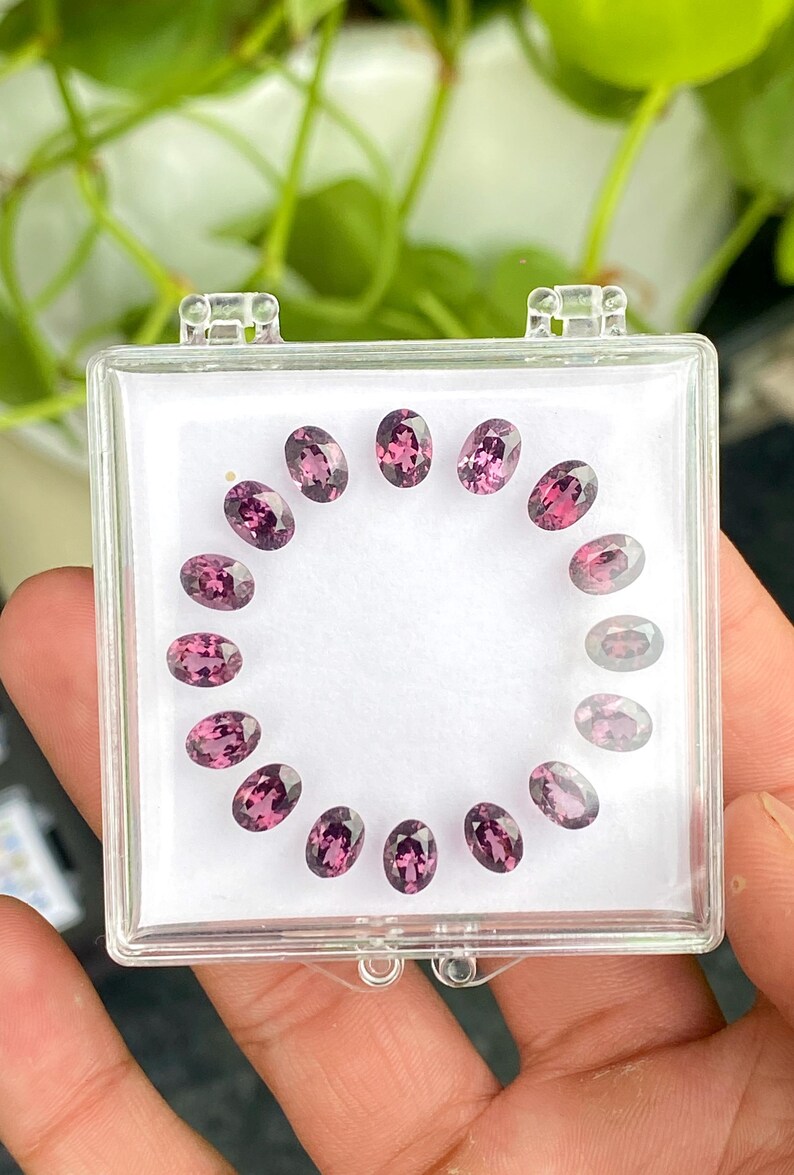 May include: A clear plastic case containing a collection of oval-cut, purplish-pink gemstones. The gemstones are arranged in a circular pattern on a white background. The case is held in a person's hand, with green foliage visible in the background.