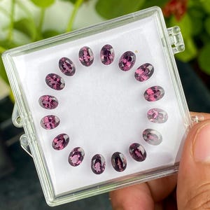 May include: A clear plastic case holds a collection of oval-cut, deep pink gemstones. The gems are arranged in a circular pattern, each reflecting light. The background is blurred, with green foliage visible.