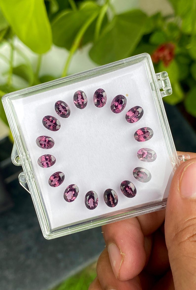 May include: A clear plastic case holds a collection of oval-cut, deep pink gemstones. The gems are arranged in a circular pattern, each reflecting light. The background is blurred, with green foliage visible.