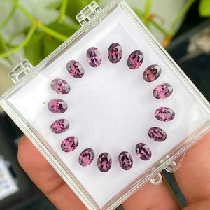 May include: A clear plastic case holds a collection of oval-cut, purplish-pink gemstones. The gems are arranged in a circular pattern on a white background. The gemstones have a polished, reflective surface.