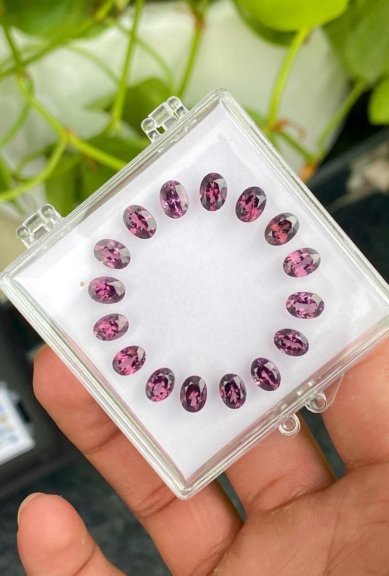 May include: A clear plastic case holds a collection of oval-cut, purplish-pink gemstones. The gems are arranged in a circular pattern on a white background. The gemstones have a polished, reflective surface.