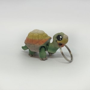 Small turtle