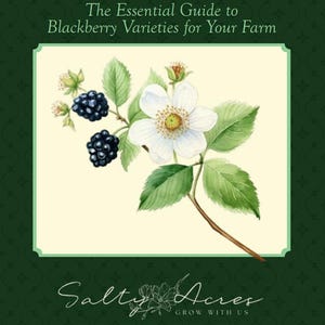 May include: A guide to blackberry varieties for your farm, featuring a watercolor illustration of a blackberry blossom with green leaves and black berries. The text "The Essential Guide to Blackberry Varieties for Your Farm" is at the top of the image, and the text "Salty Acres Grow With Us" is at the bottom.