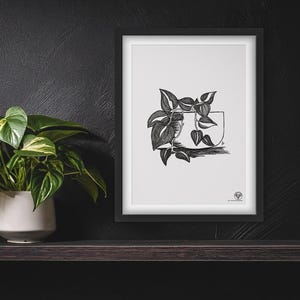 Felix - Heartleaf Philodendron digital art file for print