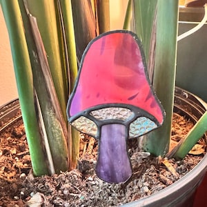 Magic Mushroom Plant Stake