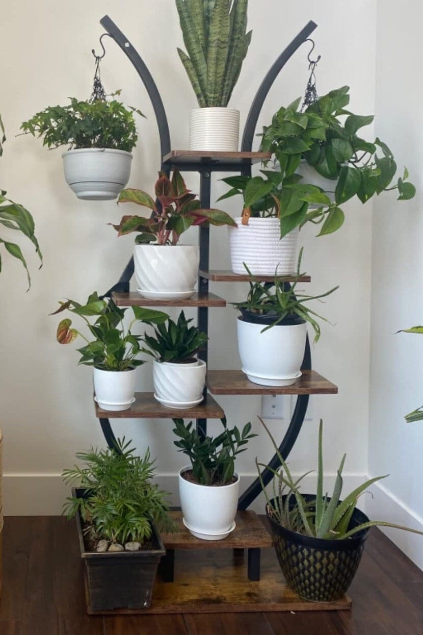 Indoor Plant Stand MCM Hand Made in Canada Solid Hardwood, Our Original  Design, Pot Not Included. 