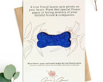 May include: A card with a blue dog bone-shaped seed paper, with text about planting forget-me-not flowers in memory of a pet. The card is on a brown envelope, with eucalyptus leaves in the background.