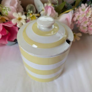 May include: A small, round ceramic jar with a lid, featuring alternating yellow and white horizontal stripes. The lid has a small knob and a slot for a spoon. The jar is likely for storing sugar or other condiments.